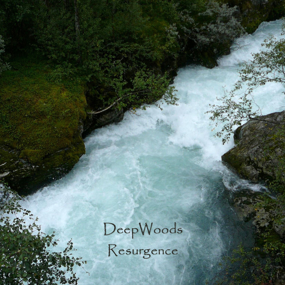 image cover: Deepwoods - Resurgence [CTR060]