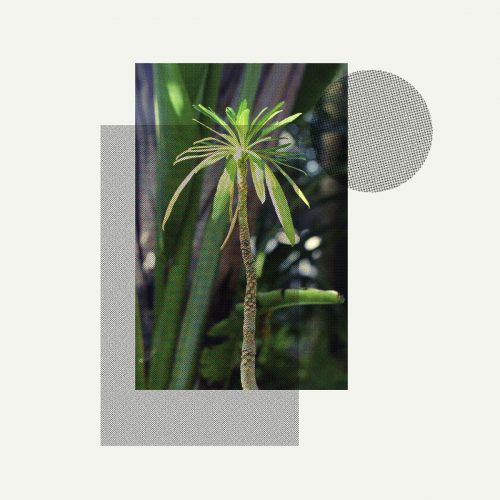 Stefan Jós – Primitives [FRAUM03] (FLAC)
