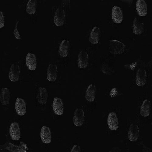 Mickey Pearce – Wam Barzz [PMAWS005]