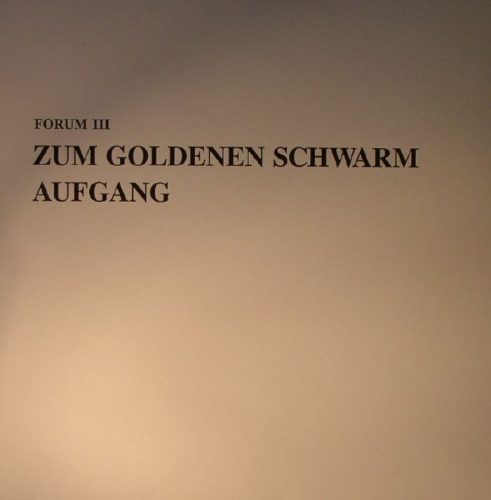 Zum Goldenen Schwarm – Aufgang
