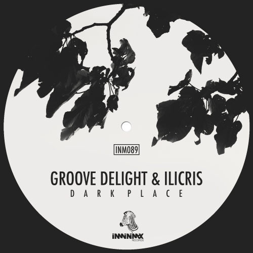 image cover: Delight & Ilicris - Dark Place [INM089]