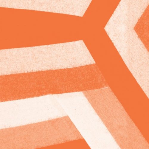 Blawan – Hanging Out The Birds [TESC002]