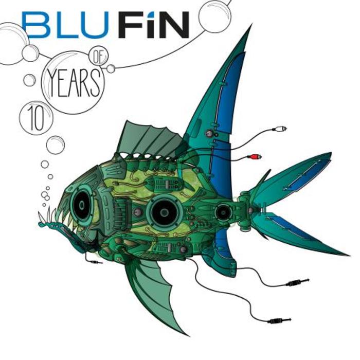 image cover: VA - 10 Years Of Blufin [BFCD026]