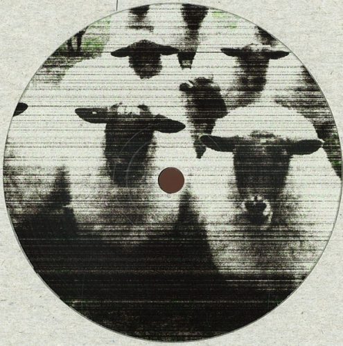 Shards – 001 [SHARDS001] FLAC