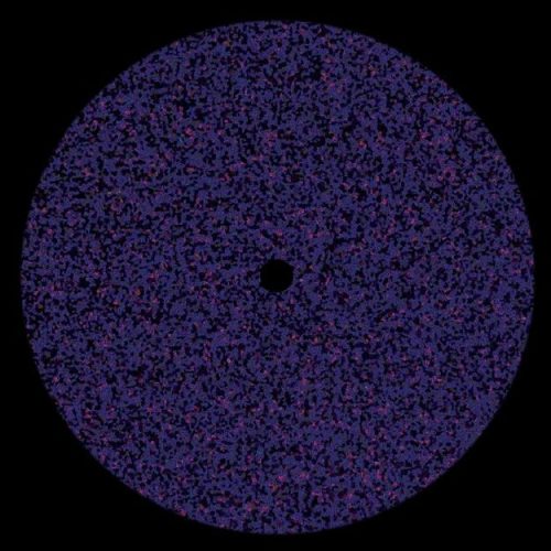 Polo – Route [KANN23] (FLAC)