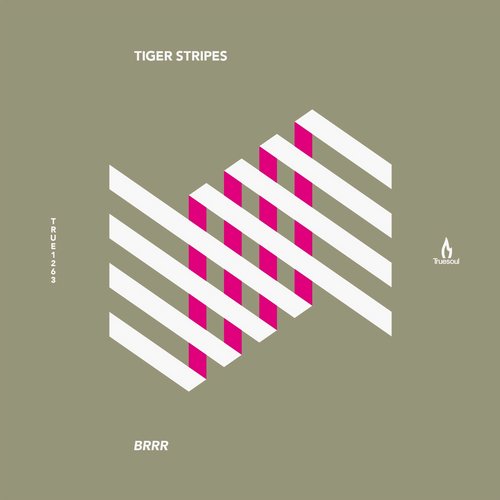 image cover: Tiger Stripes - Brrr [TRUE1263]