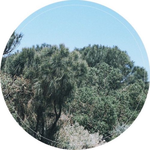 Rings Around Saturn – Erosion [Analogue Attic]