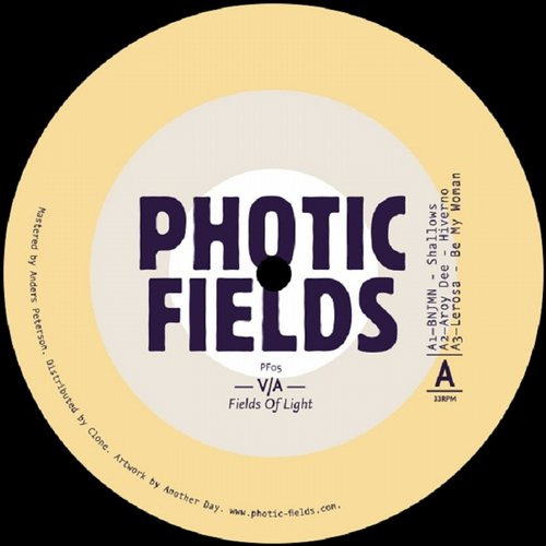 image cover: VA - Fields Of Light [PF05]