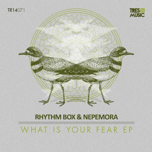image cover: Rhythm Box, Nepemora - What Is Your Fear [TR14071]