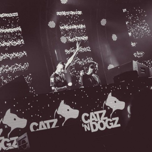 image cover: VA - CATZ 'N DOGZ - ONE PAW IN THE POOL CHARTS