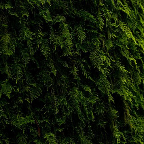 VA – The Wandering II Compilation [SS20]