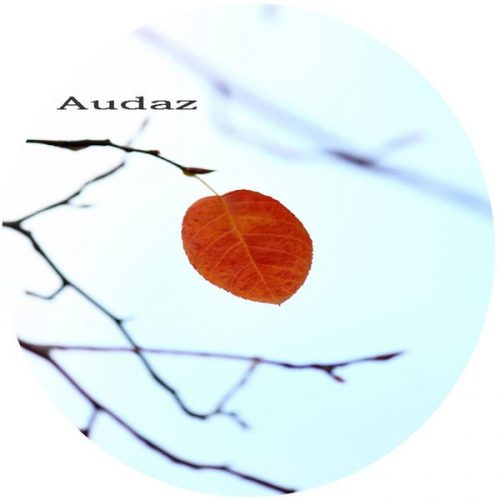 Alkalino – Leaf Of Faith [AUDAZDIG75]