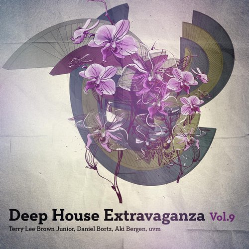 image cover: VA - Deep House Extravaganza Vol. 9 [TS844]