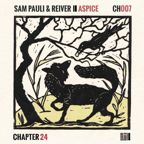 image cover: Sam Pauli, Reiver - Aspice [CH007]