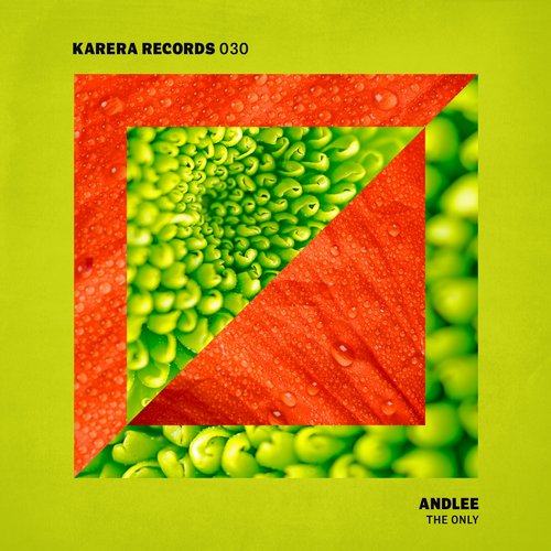 image cover: Andlee - The Only [KARERAD30]