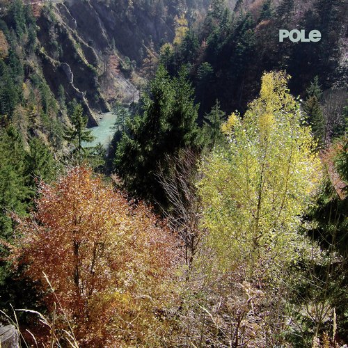 image cover: Pole - Wald [PL13CD]