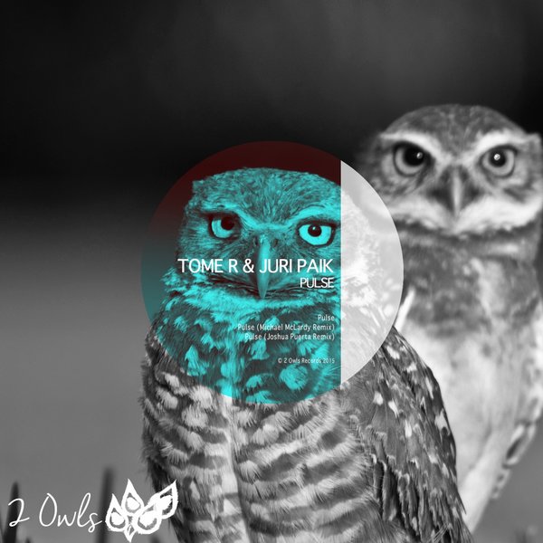 image cover: Tome R Juri Paik - Pulse [OWL056]