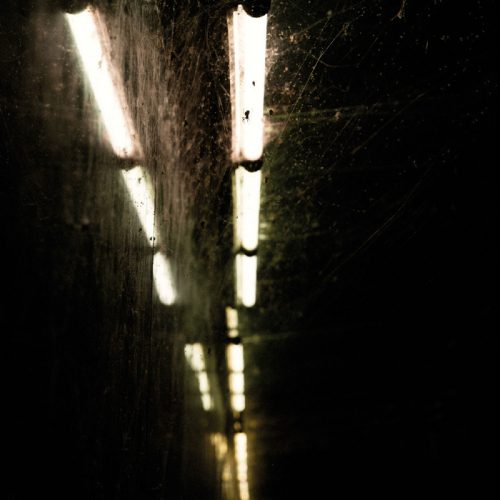 Daribow – Nightfall [DYSTOPIAN011]