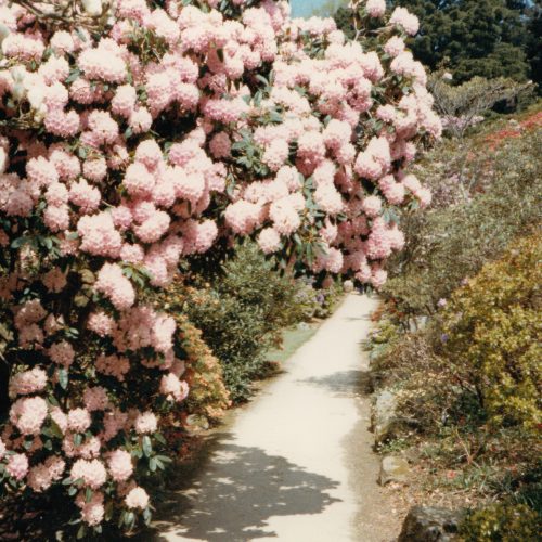 Patricia – Bem Inventory [OPAL066]