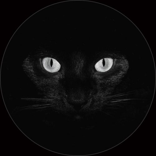 OBS.CUR – OBS​.​CUR BLK02 LTD.
