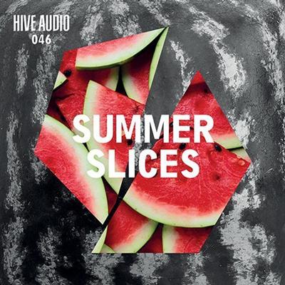 image cover: VA - Summer Slices [HA046]
