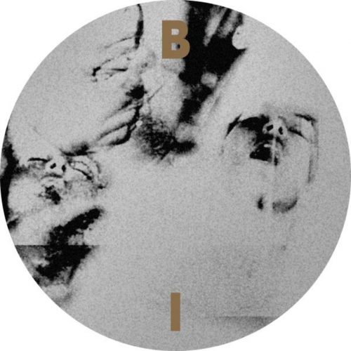 Borrowed Identity – Crack In The Box