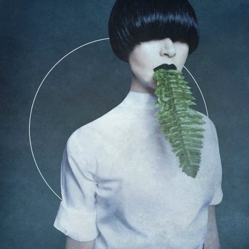 Kangding Ray – Cory Arcane [none]