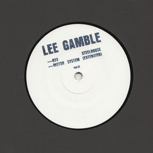 Lee Gamble – B23 Steelhouse [VINYLPAN65]