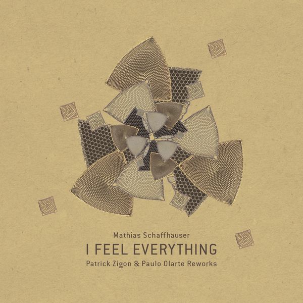 image cover: Mathias Schaffhauser - I Feel Everything [BIOLAB014]