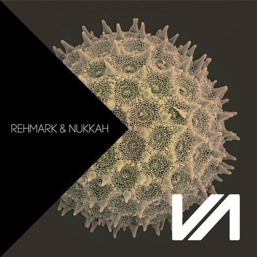image cover: Rehmark & Nukkah - Phobica EP [ELV33]