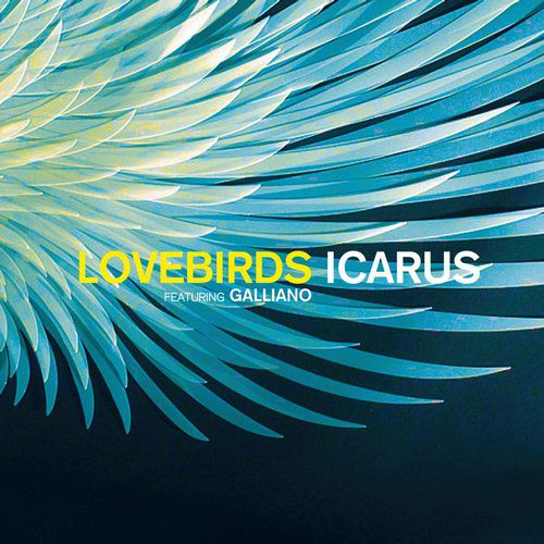 image cover: Lovebirds Ft Galliano - Icarus [TD011]