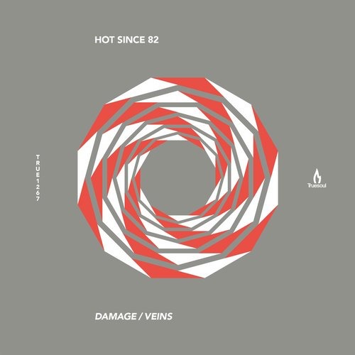 image cover: Hot Since 82 - Damage - Veins [TRUE1267]
