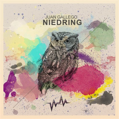 image cover: Juan Gallego - Niedring [WM0078]