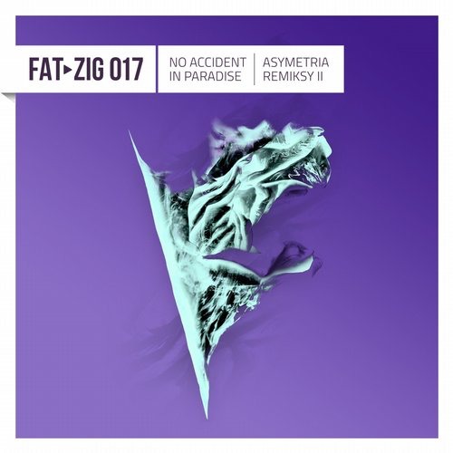 image cover: No Accident In Paradise - Asymetria Remiksy II [FATZIG017]