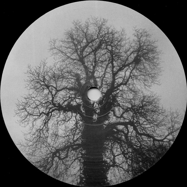 image cover: Dubatech, Havantepe - Baum Limited Picture Edition 002 [VINYLbaumLPE002]