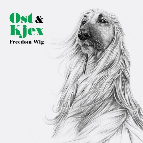 image cover: Ost & Kjex - Freedom Wig [DIYNAMICCD13]