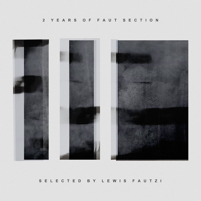 image cover: VA - 2 Years Of Faut Section [FAUT016]