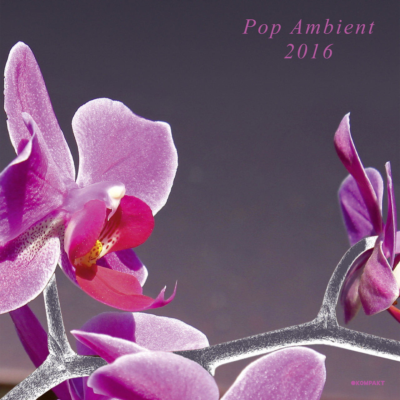 00-VA-Pop Ambient 2016-Pop Ambient 2016