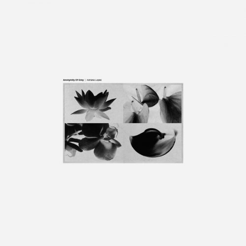 Adriana Lopez – Anonymity Of Grey [VINYLGR05V]