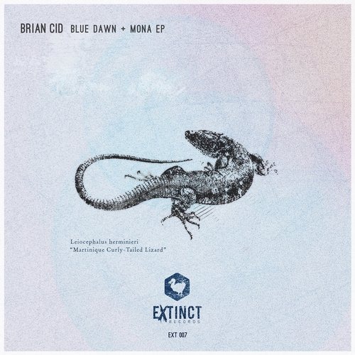 image cover: Brian Cid - Blue Dawn + Mona EP [EXT007]