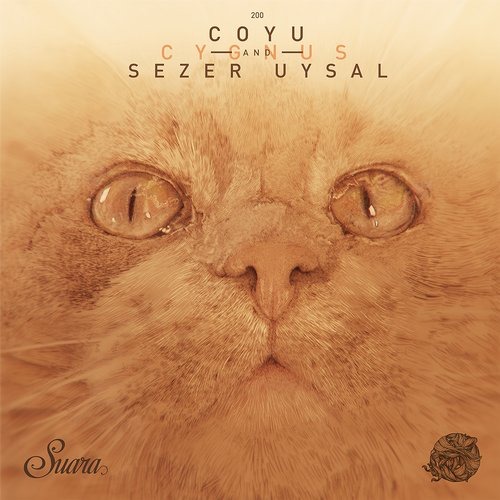 image cover: Coyu, Sezer Uysal - Cygnus [SUARA200]