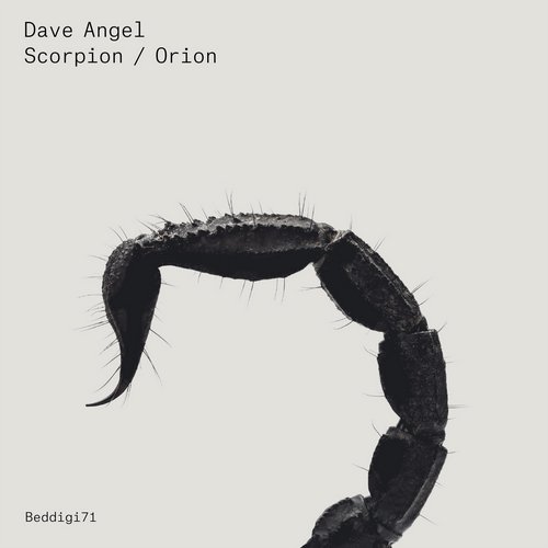 image cover: Dave Angel - Scorpion / Orion [BEDDIGI71]
