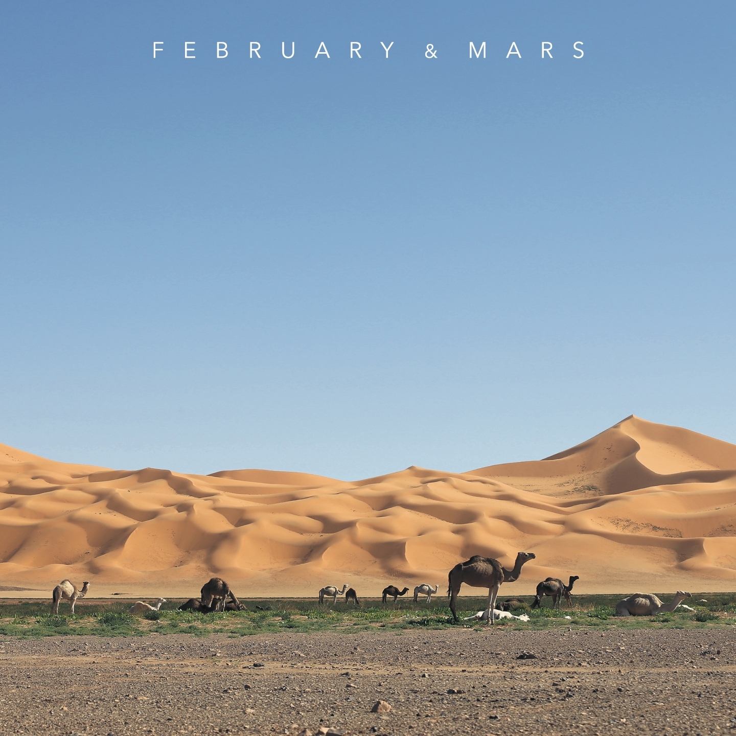 image cover: February & Mars - February & Mars [MOJUBALP4]