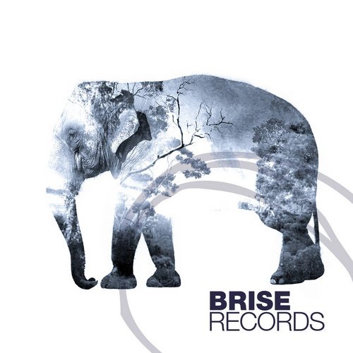 image cover: Helmut Dubnitzky - The Elephant E.P. [BRISE070]