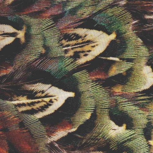 Hodge – Burned Into Memory [VINYLBH024]
