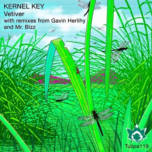 image cover: Kernel Key - Vetiver [TULIPA119]