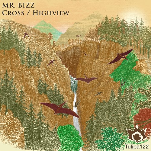 image cover: Mr. Bizz - Cross - Highview [TULIPA122]