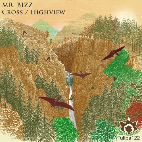 000-Mr. Bizz-Cross - Highview- [TULIPA122]