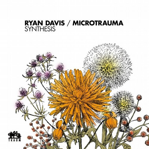 image cover: Ryan Davis, Microtrauma - Synthesis [TRAUMV194]