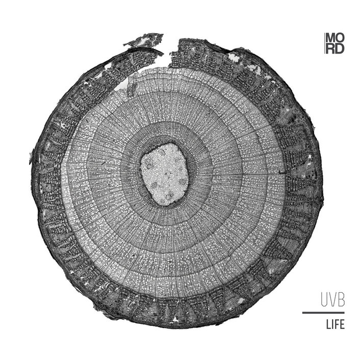 image cover: UVB - Life [MORDLP001]